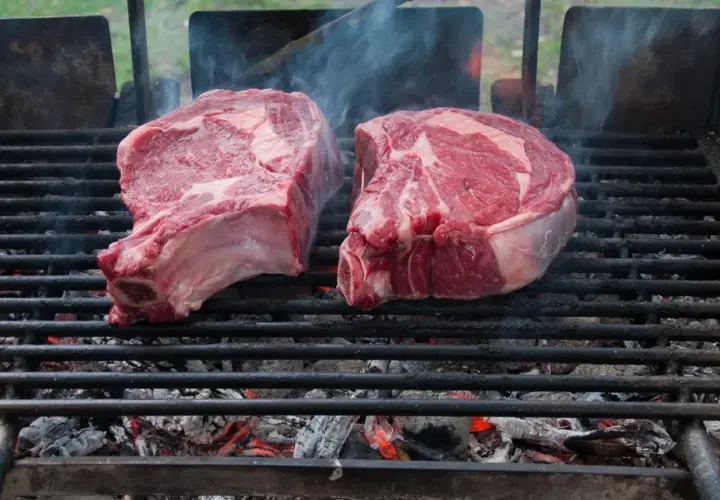 Quel vin boire avec une côte de bœuf grillée pour un accord parfait ?