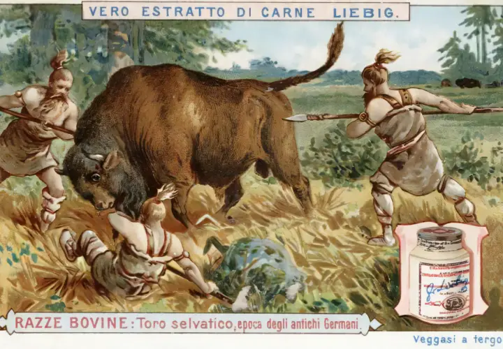 Tout savoir sur les soupes Liebig : variétés, ingrédients et achats