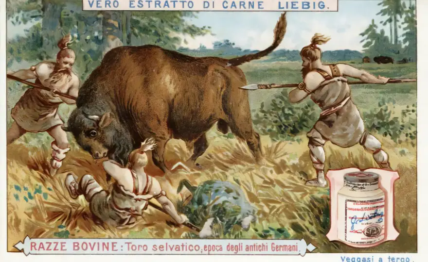 Tout savoir sur les soupes Liebig : variétés, ingrédients et achats