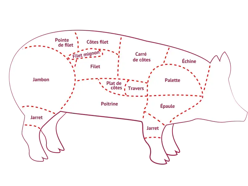 Zdjęcie Quelle viande de porc pour soupe : les meilleurs choix savoureux et légers